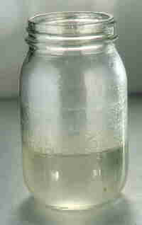 palma in a jar