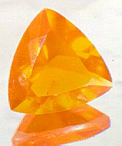 Amber Opal